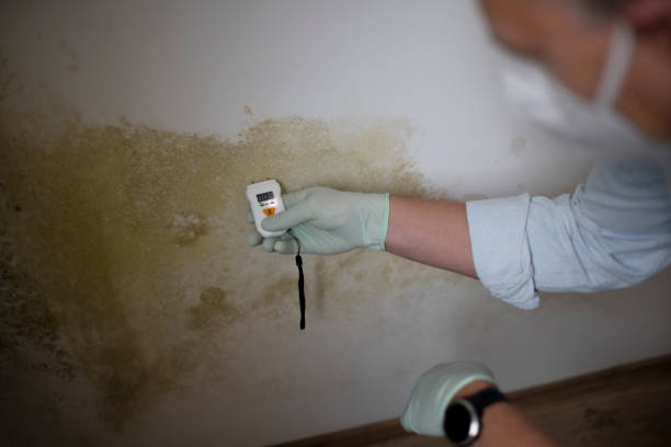 Crawl Space Mold Removal in Slatington, PA